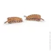   Jewellery Continent -     .