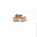 Jewellery Continent       (2349999572)
