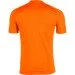Спортивная футболка Joma Tiger S, оранжевый (100945.800) Спортивная футболка Joma Tiger S, оранжевый (100945.800)