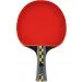     Joola     Carbon Pro (54195)