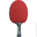     Joola Rosskopf Carbon (54208) (930939)