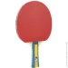 Joola     Team Master (4002560520017)