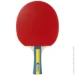 Joola     Team Master (4002560520017)