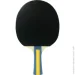     Joola Team Master (52001) (930771)