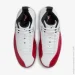  Jordan 12 RETRO .43 (CT8013-116-43)