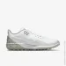  Jordan ADG 3 .42 (CW7242-100-42)