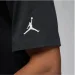   Jordan Air Brand Felt Skull Tee (FN6023-010-M)