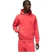  () Jordan   Air Essentials Sweatshirt  L (7dFJ7774-604 L)