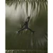 Jordan Air Flight Down Vest (FV7273-222-L)