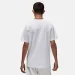   Jordan Air Pine (HQ0009-101-M)