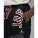   Jordan Brooklyn Fleece (FN4547-010-L)