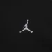  Jordan Brooklyn Fleece (FV7289-010-L)