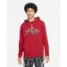  Jordan Dri-FIT Air (DJ0634-687-L)