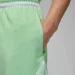  Jordan Dri-FIT Mesh Diamond Shorts (HF9910-376-S)