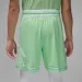  Jordan Dri-FIT Mesh Diamond Shorts (HF9910-376-S)