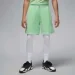  Jordan Dri-FIT Mesh Diamond Shorts (HF9910-376-S)