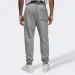   Jordan ESS FLC PANT (FJ7779-091-2XL)