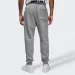   Jordan ESS FLC PANT (FJ7779-091-L)