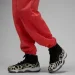   Jordan Flight Red (DQ4607-605-L)