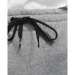     Jordan Jumpman Logo Fleece Pant (BQ8646-091-M)
