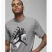   Jordan T-Shirt Brand Grey (FD7031-091-M)
