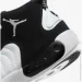  Jordan JUMPMAN PRO . 43 (DN3686-110-43)
