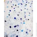 Joypet      3,8  1,6 