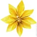 Jumi    , ,  ,  (5900410595675)