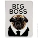  Just Cover!    Big Boss