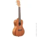  Kala Mahogany Concert Ukulele No Binding