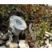   Kanlux   18131 Griblo led smd-nw (18131-kanlux)