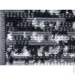  Karat  Gold B&W 1  (1253/81)