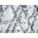 Karat  OKSI 1.60x2.30 (38018/166)