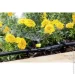  Karcher     2.645-236.0