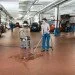  Karcher NT 50/1 Tact Te L (1.148-411.0)