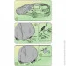 Kegel-Blazusiak - Optimal Garage L1 Hatchback/Combi (405-430*136*148) (5-4315-241-2092)