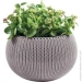  Keter Cozies M, 