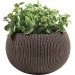  Keter Cozies M, 