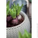  Keter    COZIES M     (7290106929852)