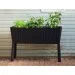     Keter Easy grow  (17194592521)