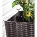     Keter Easy grow  (17194592521)