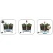     Keter Easy grow  (17194592521)