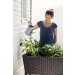     Keter Easy grow  (17194592521)