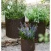  Keter L Cylinder Planter,  (17197934521_L)