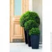 Keter    Medium Rattan Planter  (7290103659288)