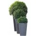  Keter Planter (17192300)