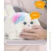   Kidcho   (HX0649) (1154036)