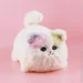   Kidcho   (HX0649) (1154036)