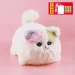   Kidcho   (HX0649) (1154036)