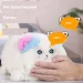   Kidcho   (HX0649) (1154036)